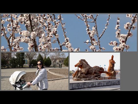 24.03.23, Pe. Erebuni(Nor Aresh), pokrik ayginer, handipum. Depi Moskovyan lich.