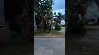 LE VIVA MUI NE RESORT In the evening. #sunrise  #shorts #short