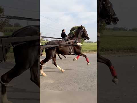 😰ACHAN@AK D0NO Bha!yo K! R@ce H0Gyi ?