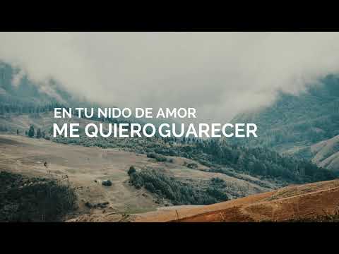 Yuri Mijail - En Tus Brazos de Amor (Lyric Video)