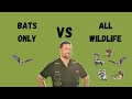 Why You Want A Bat Specialist.