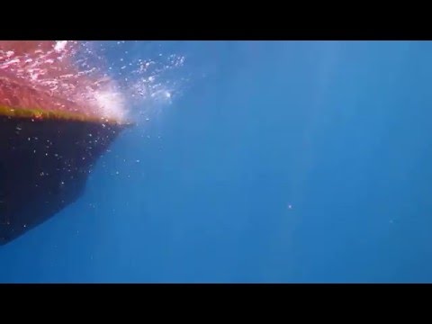 光ファイバーケーブルで聞こえるクジラの歌