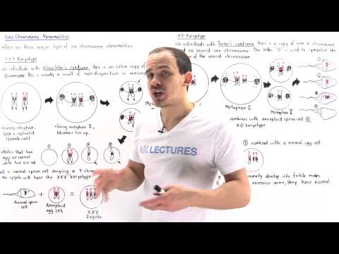 Sex Chromosome Abnormalities