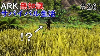 arkps4版実況ゆっくりプレイ♯26鉱石集め継続中