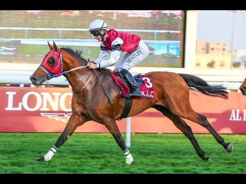 7th Race Meeting of Season  2016 / 2017