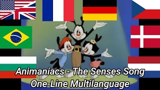 Animaniacs | The Senses Song One-Line Multilanguage