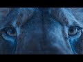 Mufasa The Lion King Taka S Revenge I 4K Ultra HD