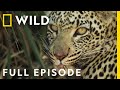 The Final Battle For Supremacy Full Episode Savage Kingdom