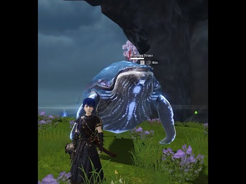 Drune big whale