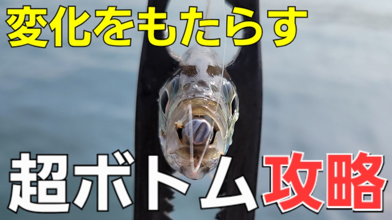 【アジング】居るけど食わない。春の厄介な季節アジングボトム攻略に兆し