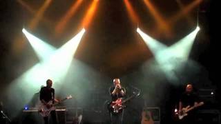 Curiosity Plays the Cure - A Short Term Effect