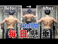 【筋トレ】懸垂を1か月間毎日10回やった結果が...!!