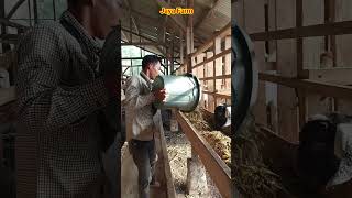 Download lagu Beginilah caranya mengobati kambing yang keguguran mp3 Download lagu Beginilah caranya mengobati kambing yang keguguran mp3