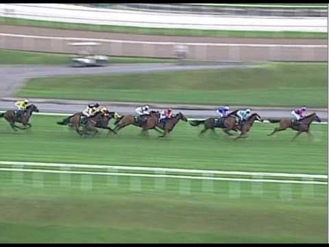 Stewards' Cup 2010 (Ghozi)