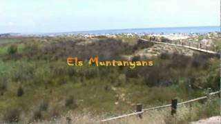 preview picture of video 'Els Muntanyans - Playa naturista Torredembarra'