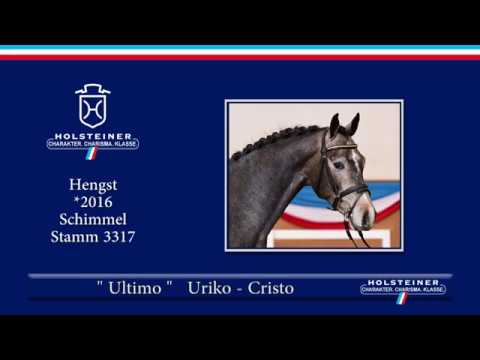 Holsteiner Frühjahrsauktion 2019 | Nr. 09 - Ultimo v. Uriko - Cristo