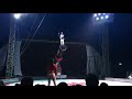 The Amazing Human Cannon