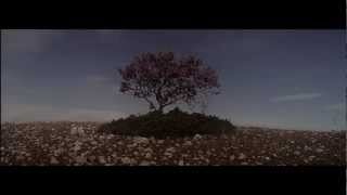 The Verve - Appalachian Springs (2008) HD w/lyrics