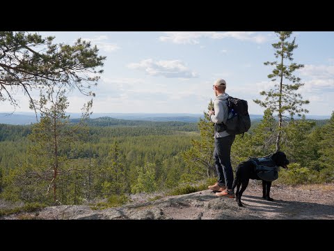 First Solo Hike With My Dog - Kindla Naturreservat Sweden - Silent Hiking