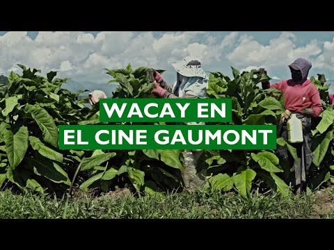 La historia que NADIE TE CONTÓ detrás de ÁFRICA MÍA