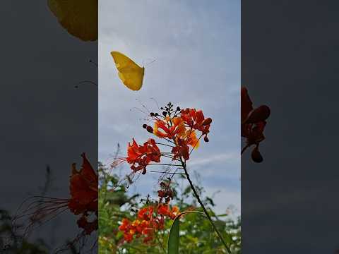 Recorriendo Diriamba: Belleza natural en Las Mercedes