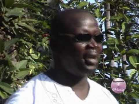 OSIEPE - ONGORO JAKARACHUONYO