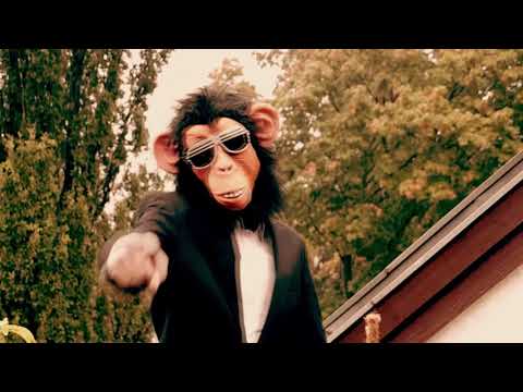 Acou Monkey vs EinfachMarc (BRT 2014 - 8el-Finale)