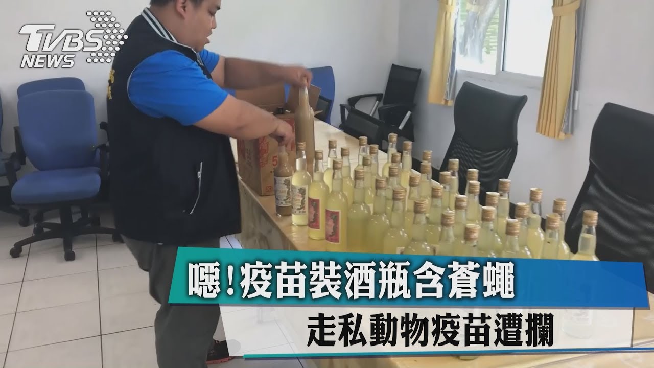 噁!疫苗裝酒瓶含蒼蠅 走私動物疫苗遭攔