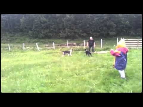 22442372 Fotballkamp på hytta 2013