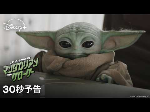 スター・ウォーズ/マンダロリアン＆グローグー Video9