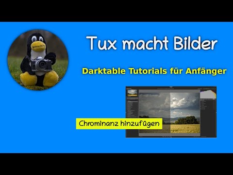 Chrominanz in Darktable 3.6 erhöhen