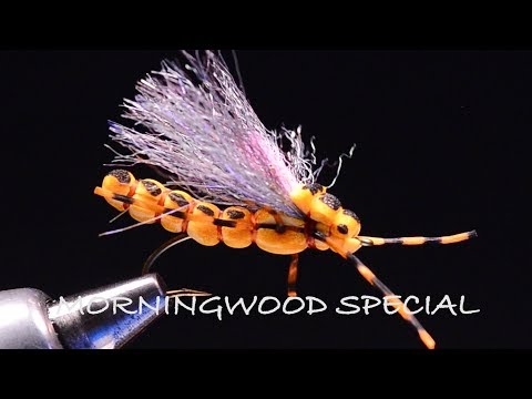 Morningwood Special by Charlie Craven