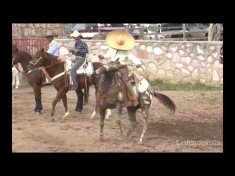 11 - The Best of the Coleaderos - El Montecillo, Jerez, Zacatecas