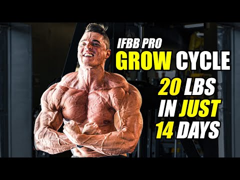 How I gained 20 pounds in 14 days (THE TRUTH)