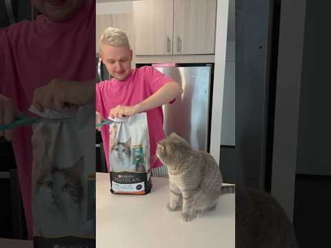 Let’s try cat food 😱 Minnie don’t like that 😬