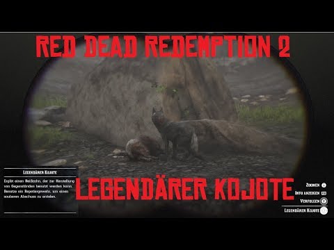 Red Dead Redemption 2 LEGENDÄRER KOJOTE Standort