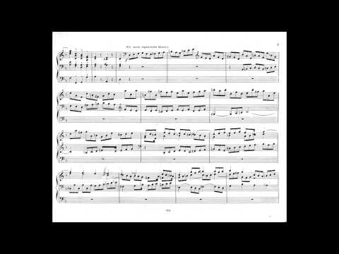 August Gottfried RItter, Sonate no. 1 op.11 played by Luca Scandali (live recording)