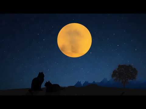 GIULIO WILSON - I GATTI DI MAGRITTE