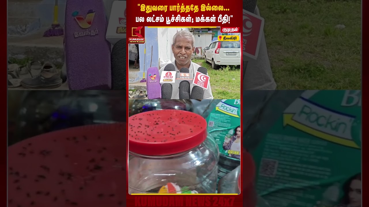 இதுவரை பார்த்ததே இல்லை... கோத்தகிரி அருகே பல லட்சம் பூச்சிகள்! மக்கள் பீதி | Kotagiri | Tamil News இதுவரை பார்த்ததே இல்லை... கோத்தகிரி அருகே பல லட்சம் பூச்சிகள்! மக்கள் பீதி | Kotagiri | Tamil News