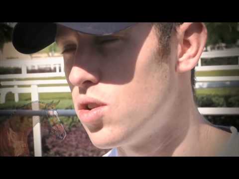 Quasimodo van de Molendreef - Etalon Béligneux le haras 2014