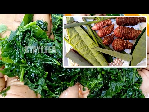 Omuwala Anonya Oluzalo ku Musawo Omuganda Manyi Binno Bikuyaamba