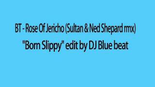 BT - Rose Of Jericho (Sultan & Ned Shepard rmx) ''Born Slippy'' edit by DJ Blue beat
