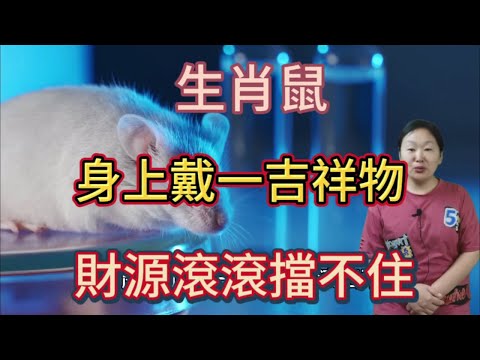 屬鼠佩戴飾物