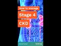 How to manage stage 4 chronic kidney disease and avoid dialysis