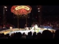 Big Apple Circus