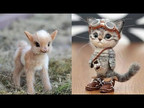 Hayvanlar Alemi - En Komik Yavru Hayvan Belgeseli - Tüm Hayvanları Tanıyalım - Sevimli Dostlar #6