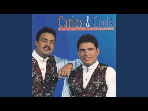 No Te Importó Mentir