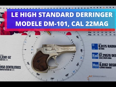 LE HIGH STANDARD DERRINGER MODELE DM 101 EN 22 MAG