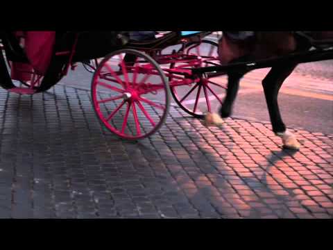 REACTION ROMA - Trailer