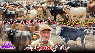 Download lagu Swabi Maweshi Mandi New Updates 2026 Eid Ul Azha Bulls Price 2026 | Cattle Farm | Khyber Social Tv mp3 Download lagu Swabi Maweshi Mandi New Updates 2026 Eid Ul Azha Bulls Price 2026 | Cattle Farm | Khyber Social Tv mp3